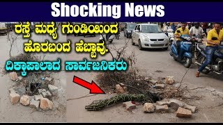 Big Breaking news Kannada - ರಸ್ತೆ ಮಧ್ಯೆ ಗುಂಡಿಯಿಂದ ಹೊರಬಂದ ಹೆಬ್ಬಾವು  ದಿಕ್ಕಾಪಾಲಾದ ಸಾರ್ವಜನಿಕರು