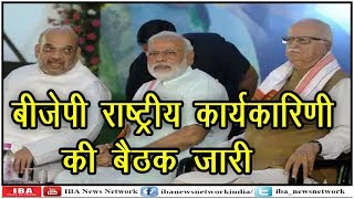 BJP की बैठक में बोले शाह- मोदी सरकार की ...  | BJP Baithak | Delhi | IBA NEWS |