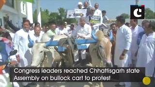 Congress leaders reach state Assembly on bullock cart to protest against fuel price hike