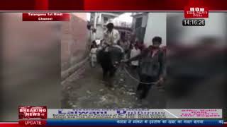 [ Rampur ] रामपुर में युवक का मुँह काला कर गांव में भैसें बैठकर धुमाया / THE NEWS INDIA