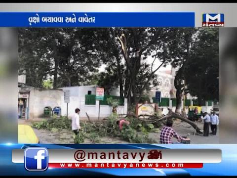 Rajkot: Administration cut down the trees to welcome PM Narendra Modi