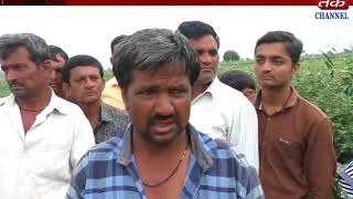 Kotdasangani : Seekers poisoning by strangers in farmer farms