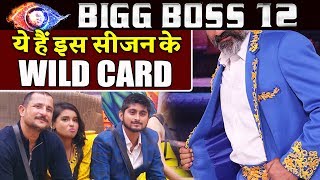 Bigg Boss 12- This Wild Card Entry Will Enter The House