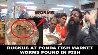 Ruckus At Ponda Fish Market, Worms Found In Sold Fish