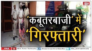 होशियारपुर में 'होशियारी' विदेश भेजने के नाम पर 'ठगी' ! | Hoshiyarpur | IBA NEWS |