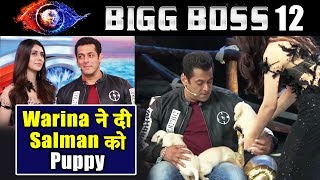 Salman Khans Cute Moment With Puppies On Bigg Boss 12 set | Weekend Ka Vaar