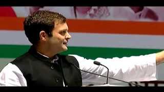 Panchayati Raj Has Expanded Democracy in India: Rahul Gandhi