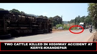 TWO CATTLE KILLED IN HIGHWAY ACCIDENT AT KERYE-KHANDEPAR