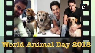 World Animal Day 2018: These Bollywood celebs have always inspired to love your pet animals