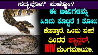 ಈ ಜೀವಿಗಳನ್ನು ಹಿಡಿದು ಕೊಟ್ಟರೆ 1 ಕೋಟಿ ಕೊಡ್ತಾರೆ  ಒಂದು ವೇಳೆ ತಿಂದರೆ ಕ್ಯಾನ್ಸರ್, HIVಮಂಗಮಾಯಾ | Top Kannada TV