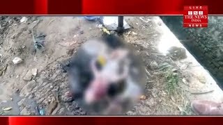 [ Farrukhabad ] फर्रूखाबाद में नवजात बच्चे का नाले में पडा मिला शव / THE NEWS INDIA
