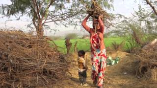 A Billion & One Voices: The Story of RajKumar