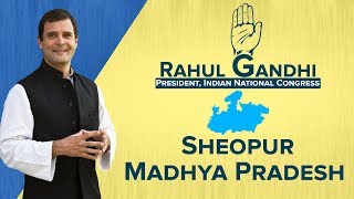 LIVE: Congress President Rahul Gandhi addresses a gathering in Sheopur, Madhya Pradesh