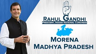 LIVE: Congress President Rahul Gandhi addresses a gathering in Morena, Madhya Pradesh