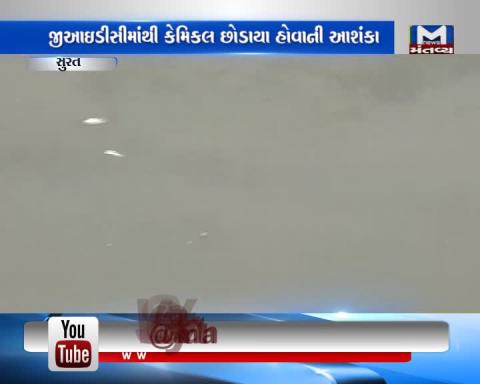 Surat: Fish suddenly began dying in the Kim River | Mantavya News
