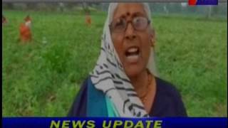बूंदी मै मटर कै भाव गिरने  से किसान   मायूस Desperate farmers from falling prices of peas in Bundi
