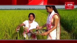 [ Assam ] असम में अनोखी पूजा  / THE NEWS INDIA