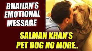 Salman Khan Mourns The Loss Of His Beloved Dog - MY LOVE | Emotional Message