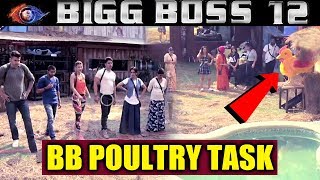 BB POULTRY TASK | New Luxury Budget Task | Bigg Boss 12 Latest Update