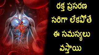 రక్త ప్రసరణ సరిగా లేకపోతే ఈ సమస్యలు వస్తాయి | Blood Circulation issue | Telugu Health Tips