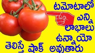 టమోటాలో ఎన్ని లాభాలు ఉన్నాయో తెలిస్తే షాక్ అవుతారు | Shocking Facts of Tomatoes | Telugu Health Tips