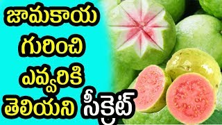 జామకాయ గురించి ఎవ్వరికి తెలియని సీక్రెట్ | Ultimate Health Benefits Of Guava | Health Tips |
