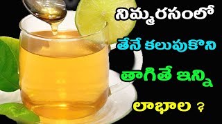 నిమ్మరసంలో తేనే కలుపుకొని తాగితే ఇన్ని లాభాల ? | Health Benefits of Lemon Water and Honey |