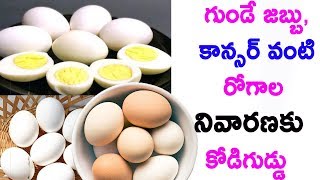 గుండే జబ్బు, కాన్సర్ వంటి రోగాల నివారణకు కోడిగుడ్డు | Health Benefits of Egg |