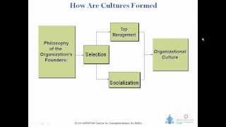 Leading Cultural Change in Organisations