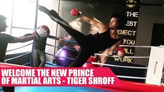 Tiger Shroff's Amazing Martial Arts Stunt For Munna Michael