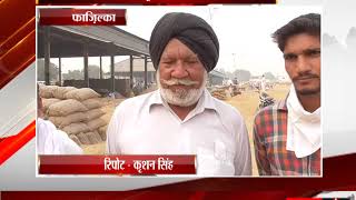 फाज़िल्का - धान की खरीद के चलते पूल किए जाने से किसानों में रोष - tv24