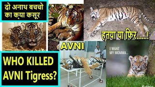 Who Killed Tigress Avni? Answer It If Anyone Can #LetAvniLive