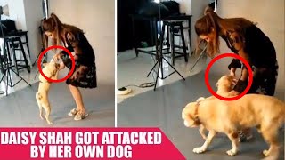 Daisy Shah Got ATTACKED By Her Own Dog