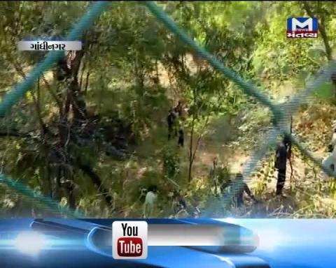 Gandhinagar:Forest Department has conducted Search operation to locate the leopard