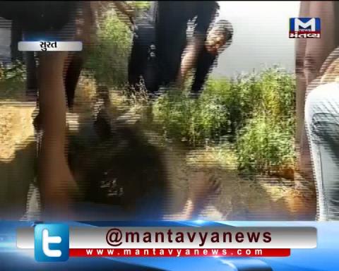 Surat: A man fell into a Big Pit | Mantavya News