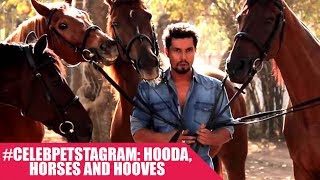 #CelebPetstagram: Randeep Hooda’s unconditional love for Horses