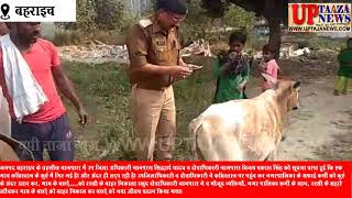कबिस्तान के कुएं में गिरी गाय को प्रशासन ने बचाया