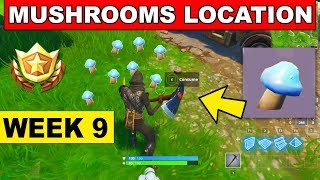Consume Mushrooms - Fortnite Week 9 Challenge (Where to find Mushrooms Location)