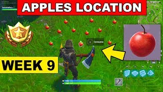 Consume Apples - Fortnite Week 9 Challenge (Where to find Apples Location)