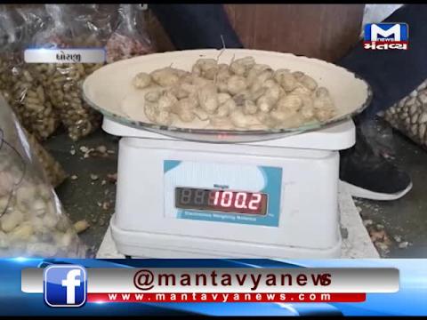 Dhoraji: Market Yard has purchased Groundnuts of 700 farmers till now