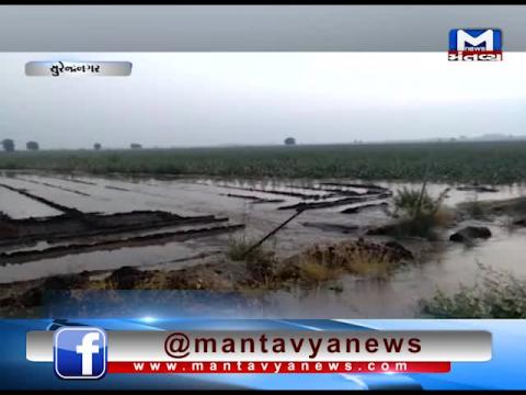 Surendranagar: Sinkhole occurred in the Narmada Canal