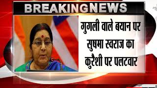 Sushma Swaraj blasts Pakistan Minister Qureshi on 'googly' remarks on Kartarpur​
