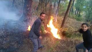सोलन के जरास गाँव के जंगलों में अचानक आग भड़क गई  बच्चो ने बुझाई आग