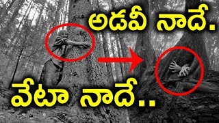 Hoia Baciu : World's Most Haunted Forest || Romania ||Top Telugu TV ||