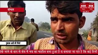 [ Sambhal ] संभल में तेंदुए से मचा हड़कंप लोगों में दहशत का बना माहौल / THE NEWS INDIA