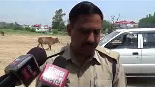 नूरपुर के चौगान में उस समय अफरा तफरी मच गई जब लोगो ने चौगान मैदान एक मृत गाय देखी