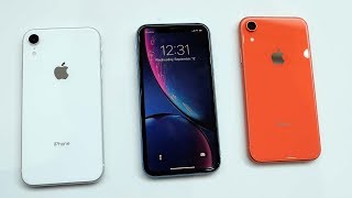 iPhone Xr: Price, specifications and launch date | Apple Launch Event