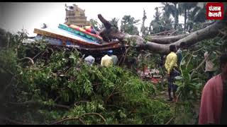 'तितली' का कहर: आंध्र में 8 लोगों की मौत, ओडिशा में भी तूफान ने मचाई तबाही