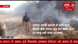 रामपुर बरेली जंगलो में लगी आग  सैकड़ो बीघे जंगल जल कर खाक आग पर काबू नहीं पाया जा सका