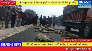 शाहजहांपुर : मीरानपुर कटरा में रोडवेज बस के नीचे आकर 20 भेड़ों की मौत - BRAVE NEWS LIVE